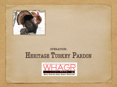 Turkey Pardon